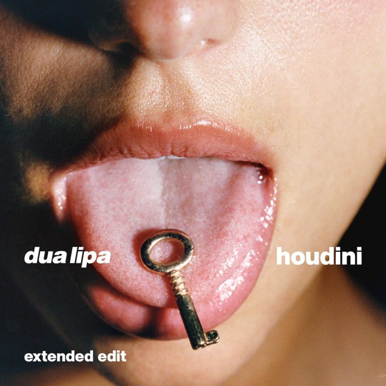 Dua Lipa - Houdini (extended edit)