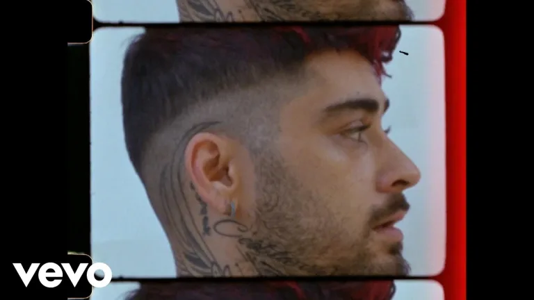 Zayn: "What I Am"
