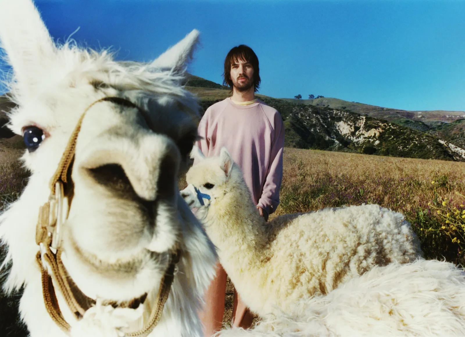 Tame Impala Teams Up with A.P.C. for Psychedelic Minimalism Capsule Collection