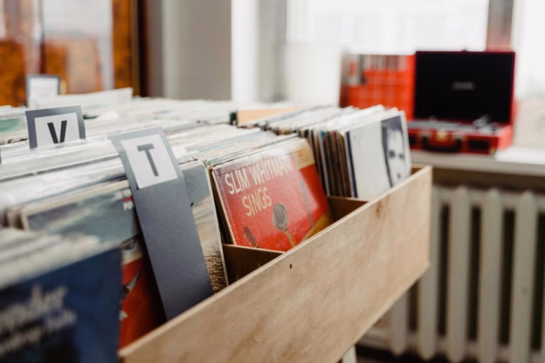 Vinyl Record Sales Drop by 33% in 2024: What’s Behind the Decline?