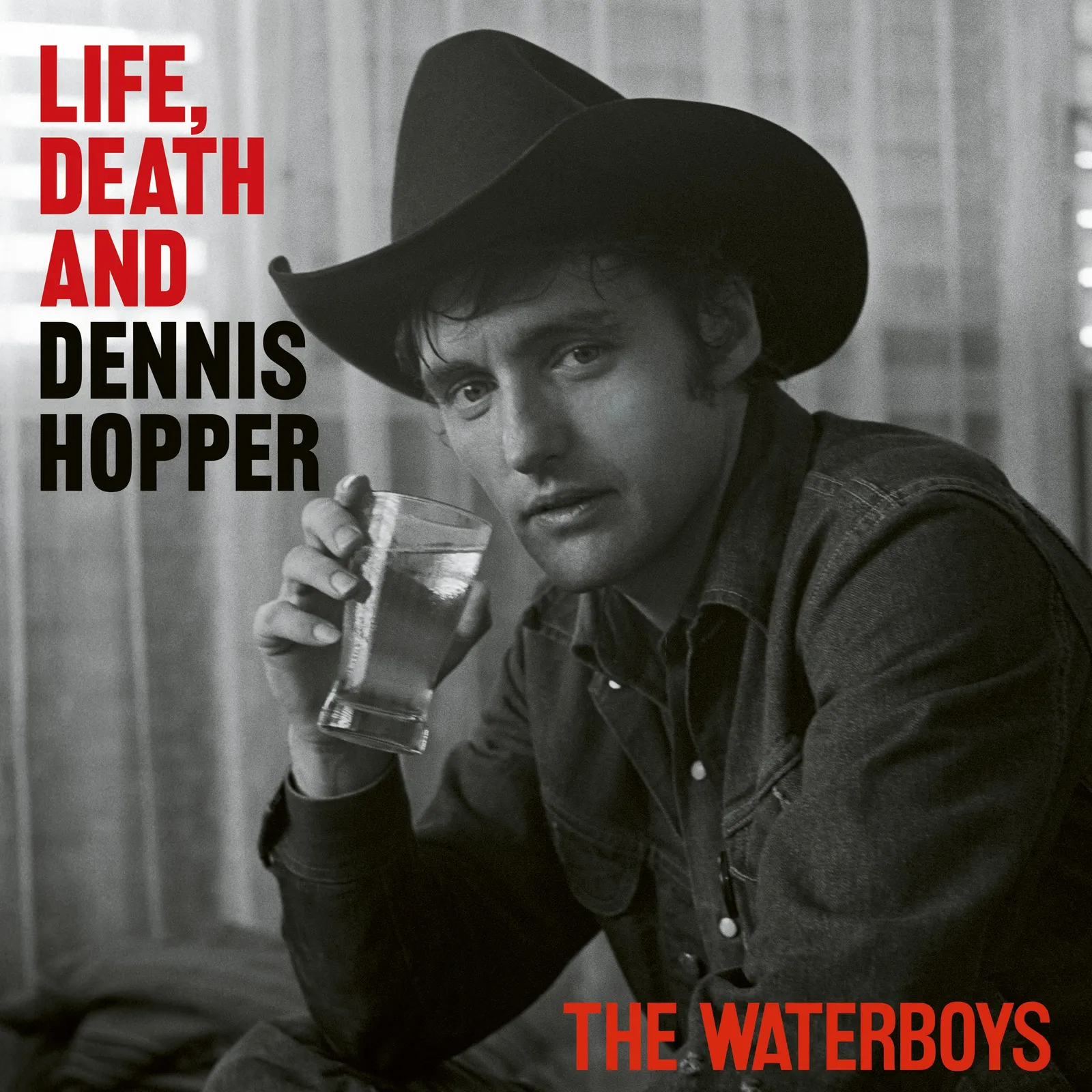 The Waterboys' Life, Death and Dennis Hopper Album Cover