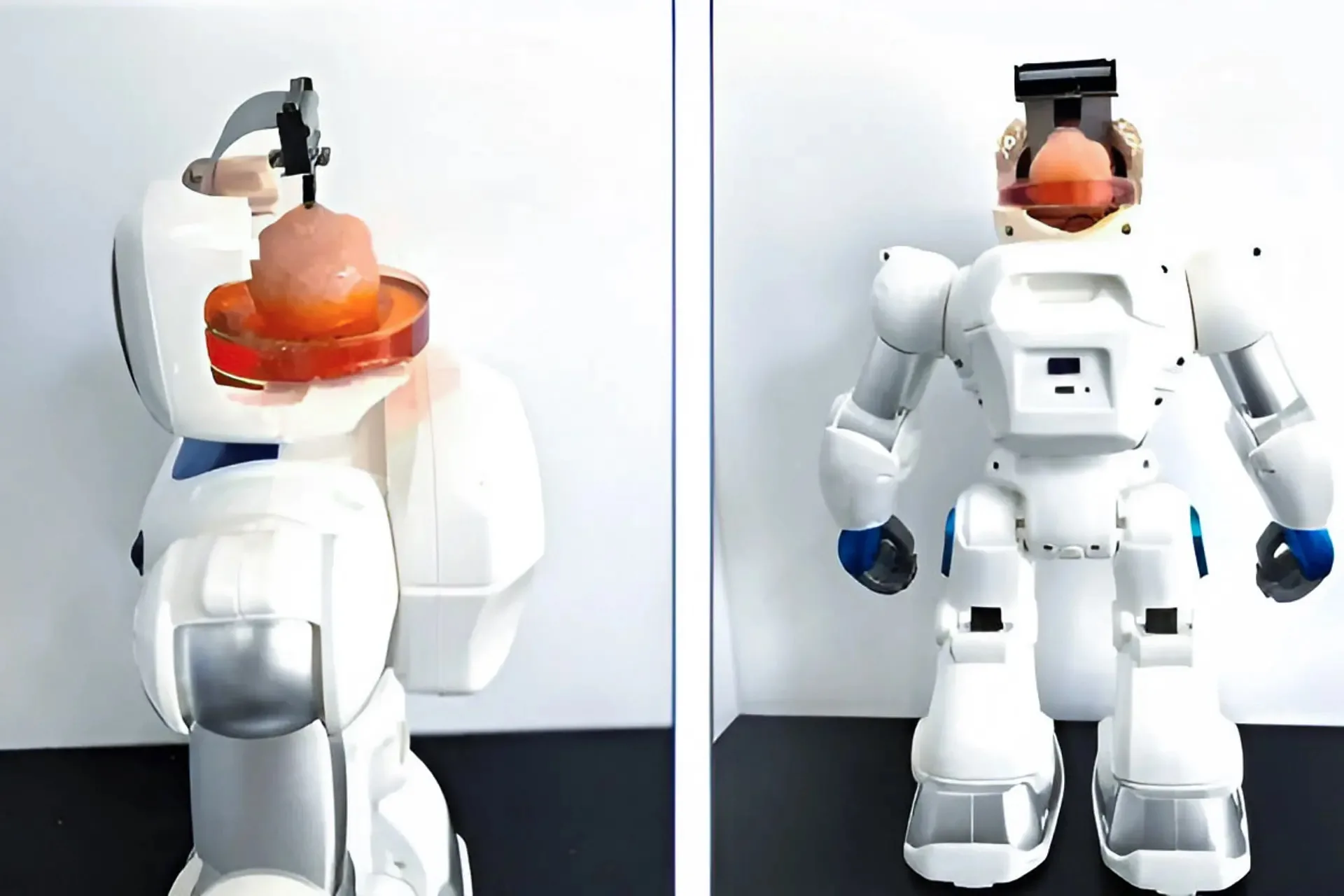 MetaBOC brain chip interface for future robotic systems 2025