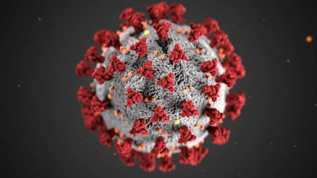 Visualization of AI detecting viral genomes in remote environments