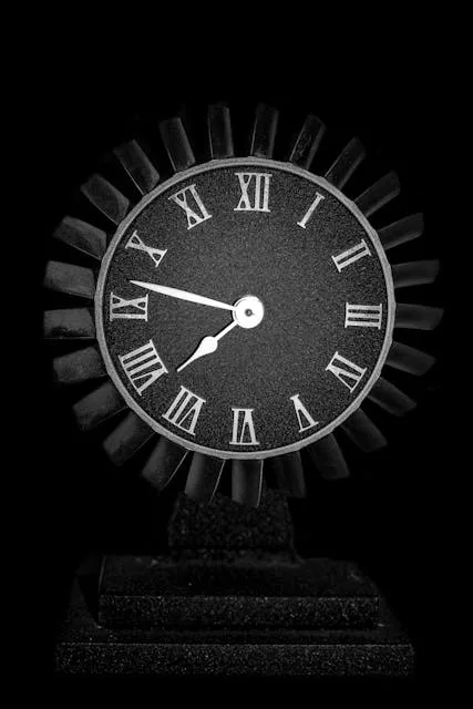 Laser pulses in rubidium gas in time reversal experiment