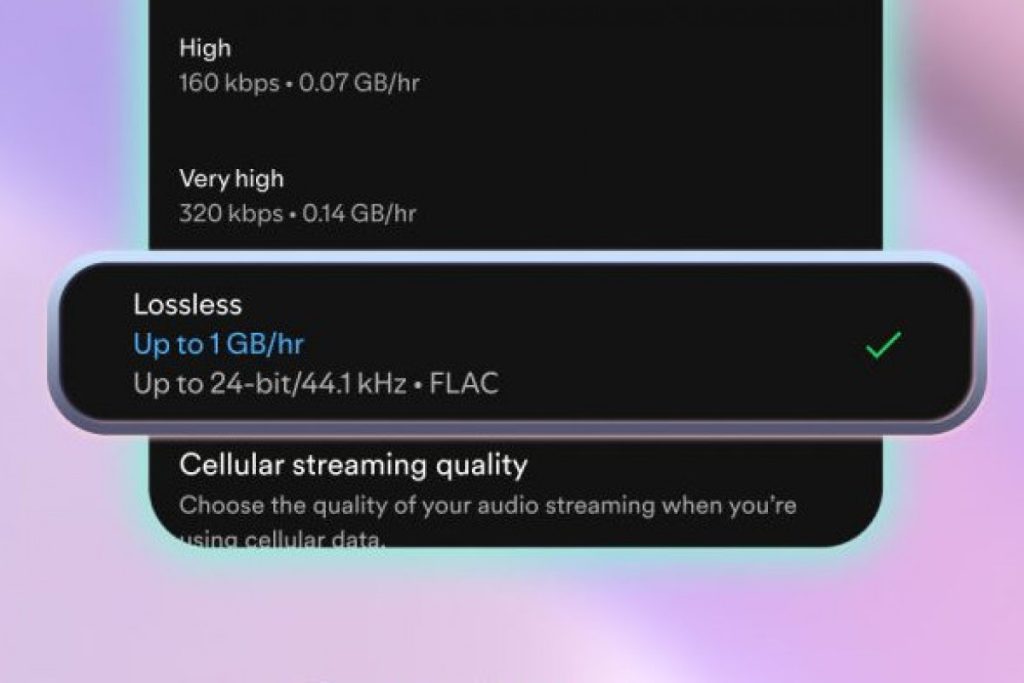 User enabling lossless audio in Spotify settings